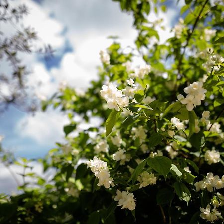 Il Giardino Bed & Breakfast Pimonte Luaran gambar